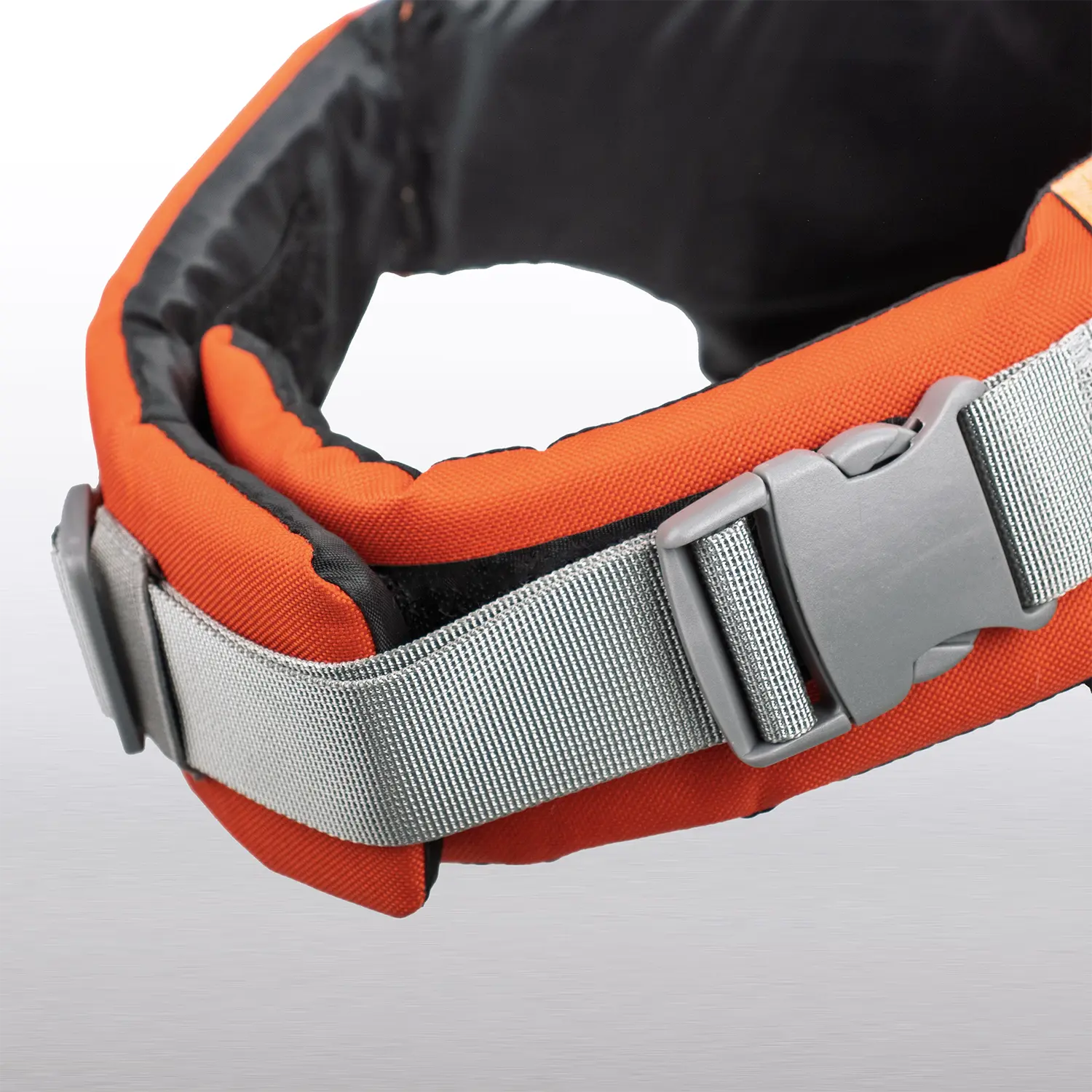 Canine life jackets for safe water adventures