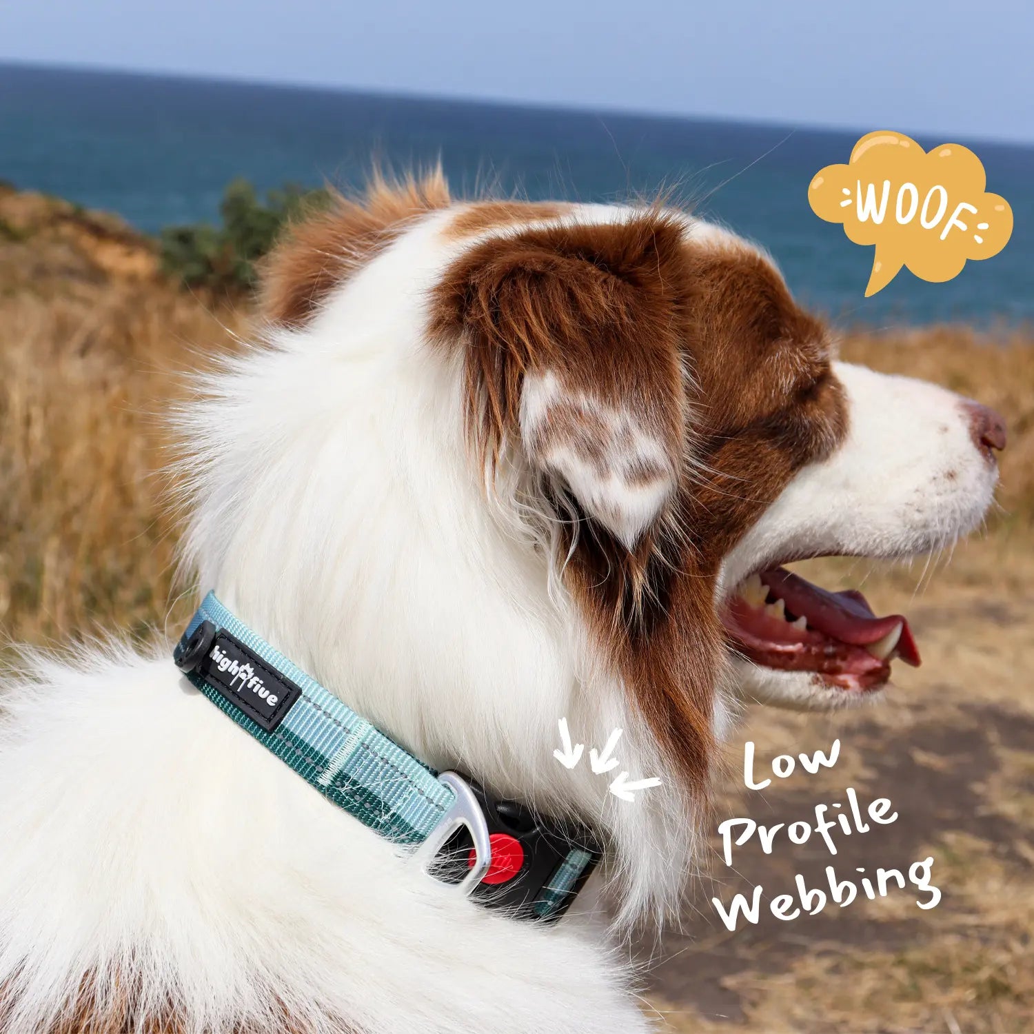 Close-up of reflective dog collar stitching for nighttime safety