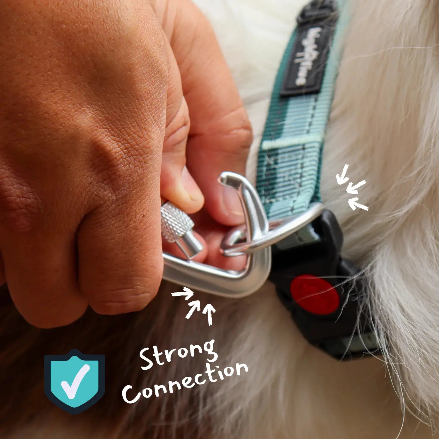 Strong buckle on HighFive PacePro™ collar for large dogs