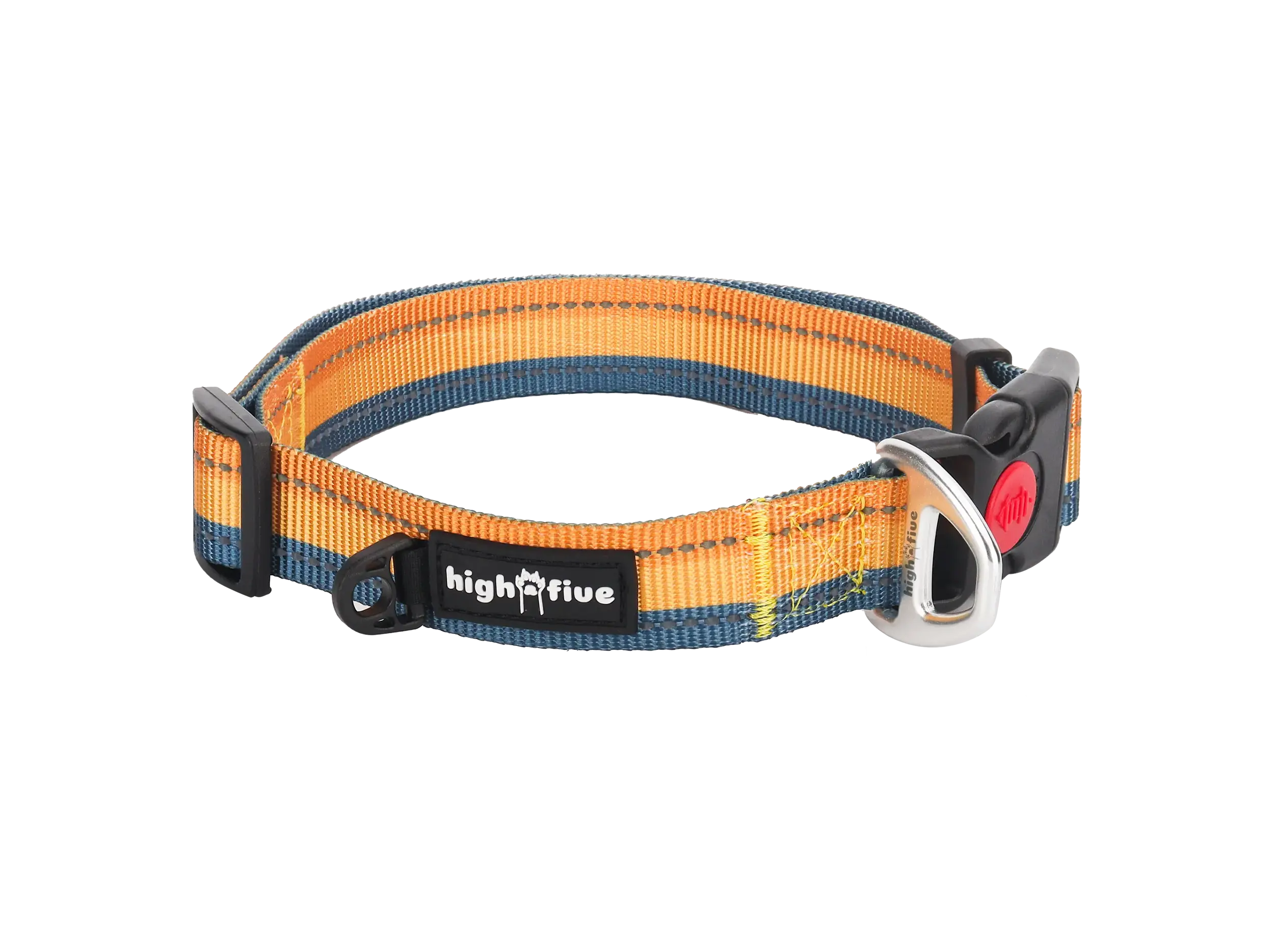 PacePro™ collar with dog leash and collar set on trail