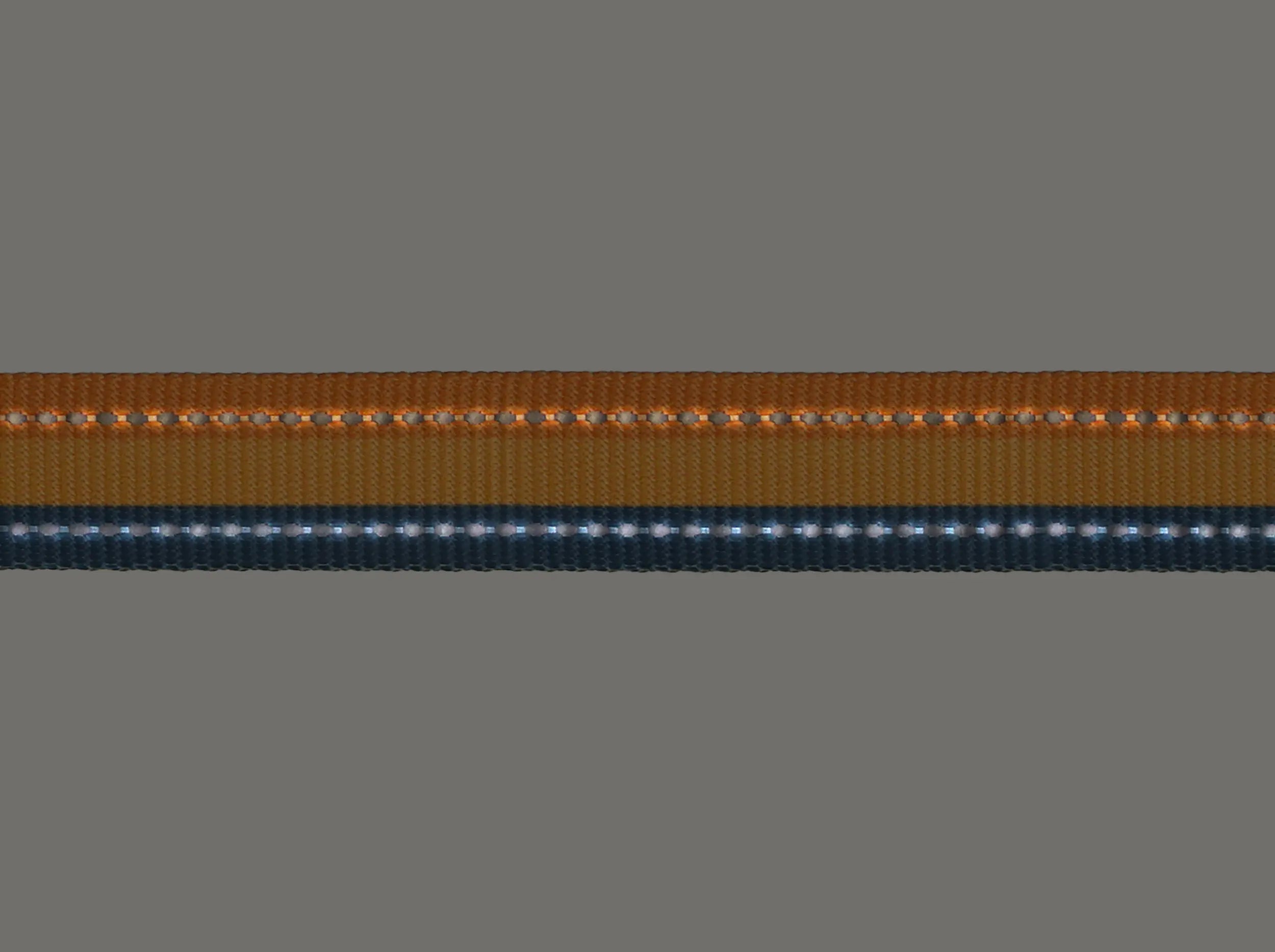 PacePro™ Dog Collar