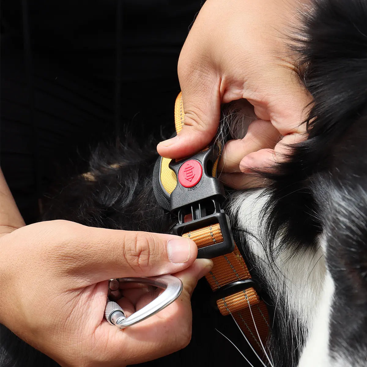 Escape-proof dog harness with snug fit for small and large breeds