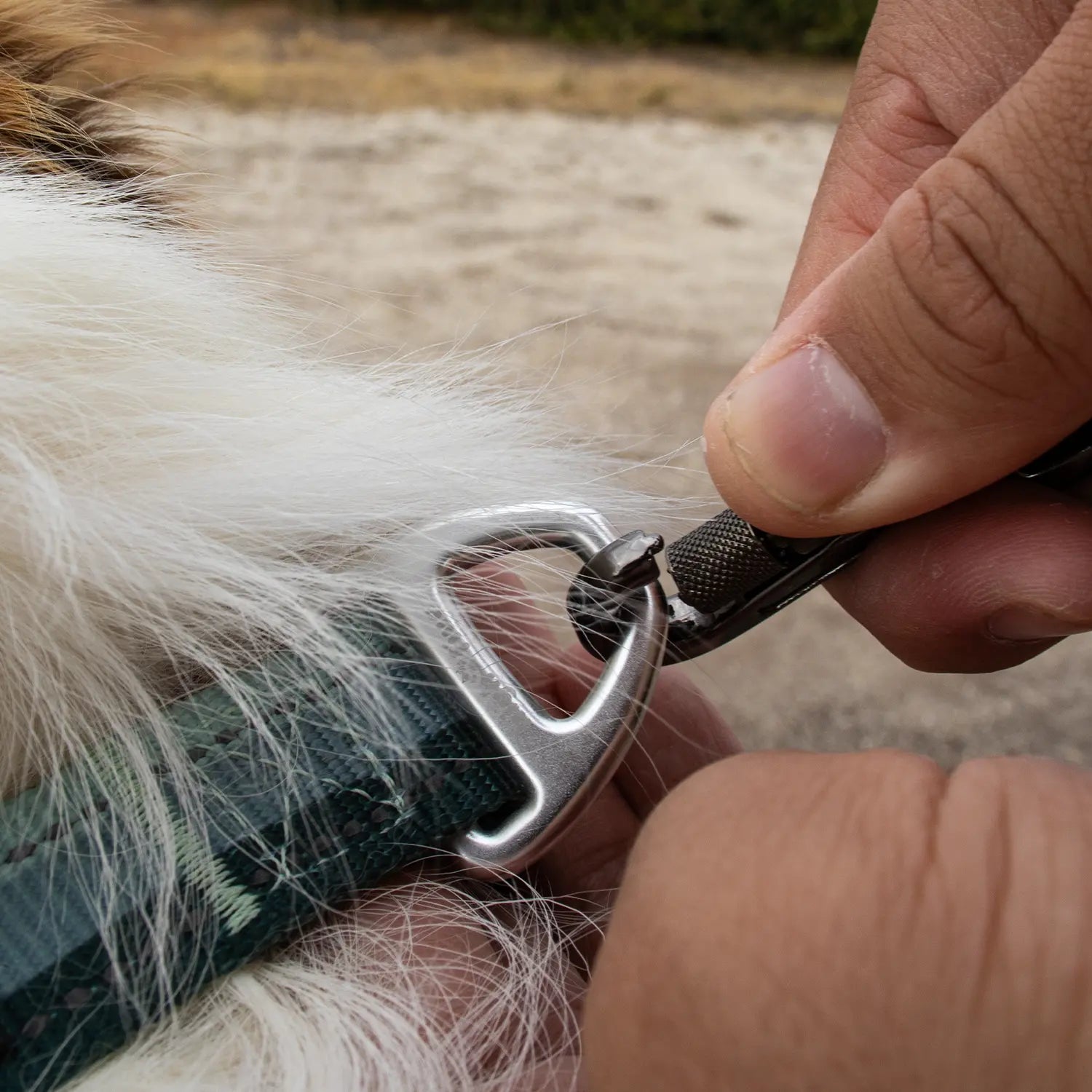 Person holding a metal carabiner attached to a Highfive Retractable dog leash heavy duty large dog extra long dog lead long line white with a natural outdoor background.