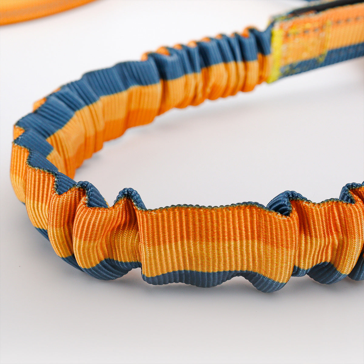 Bungee dog leash with reflective trim for nighttime safety