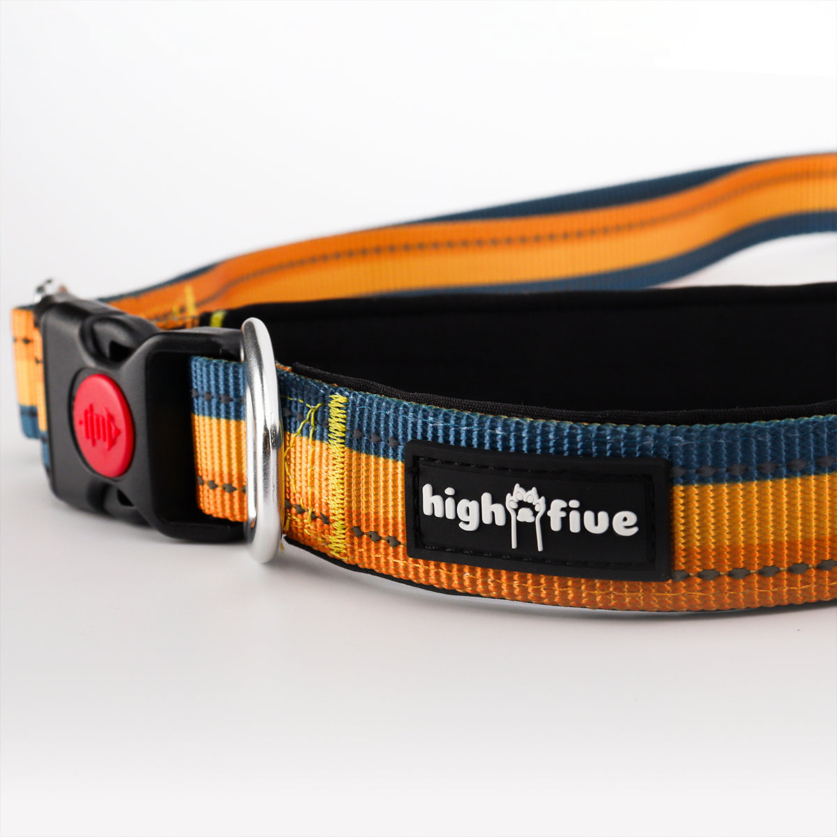 Flagline™ Bungee Hands-Free Dog Leash