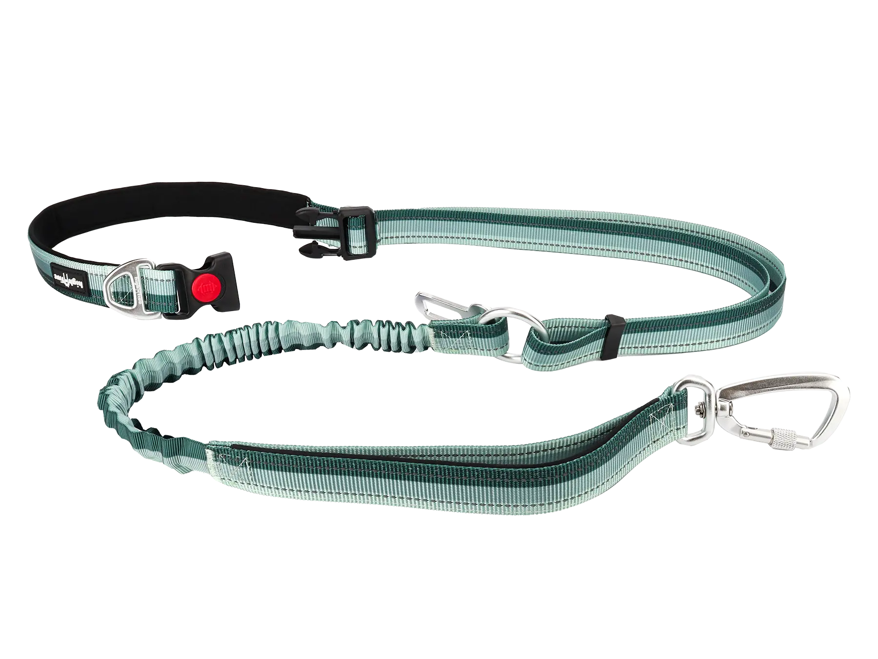 Misty Pine Buckled Off