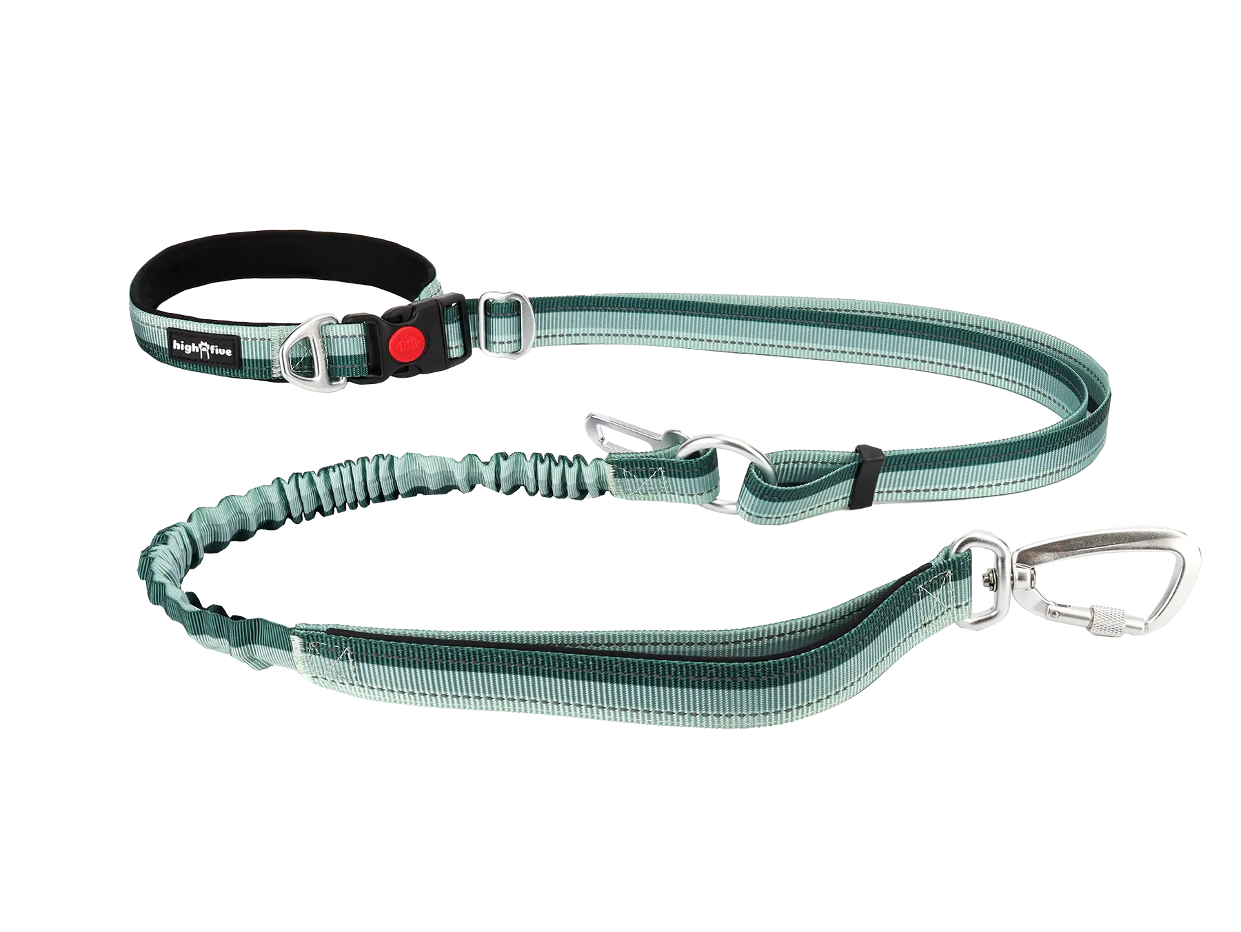 Misty Pine Buckled On