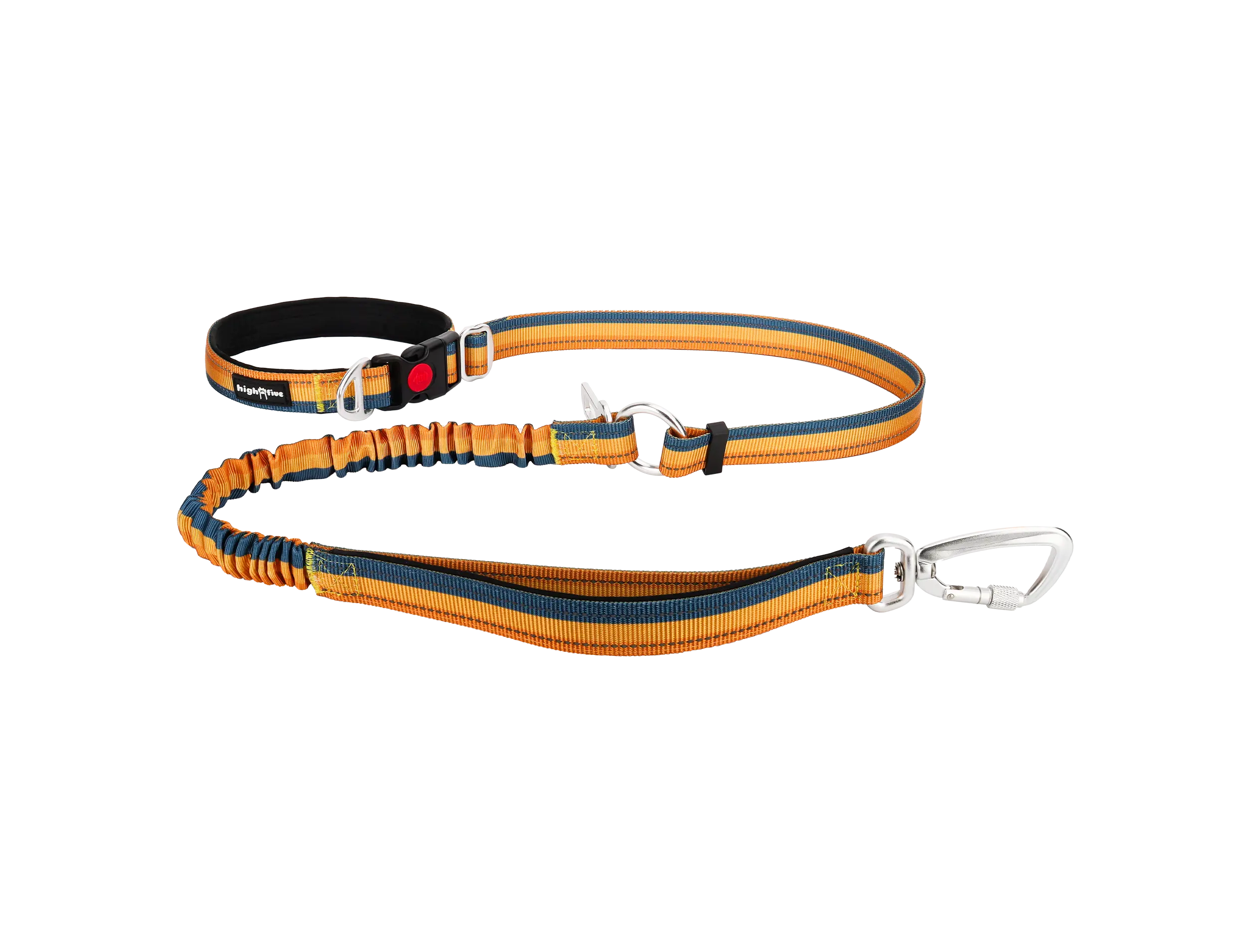 Flagline™ Bungee Hands-Free Dog Leash