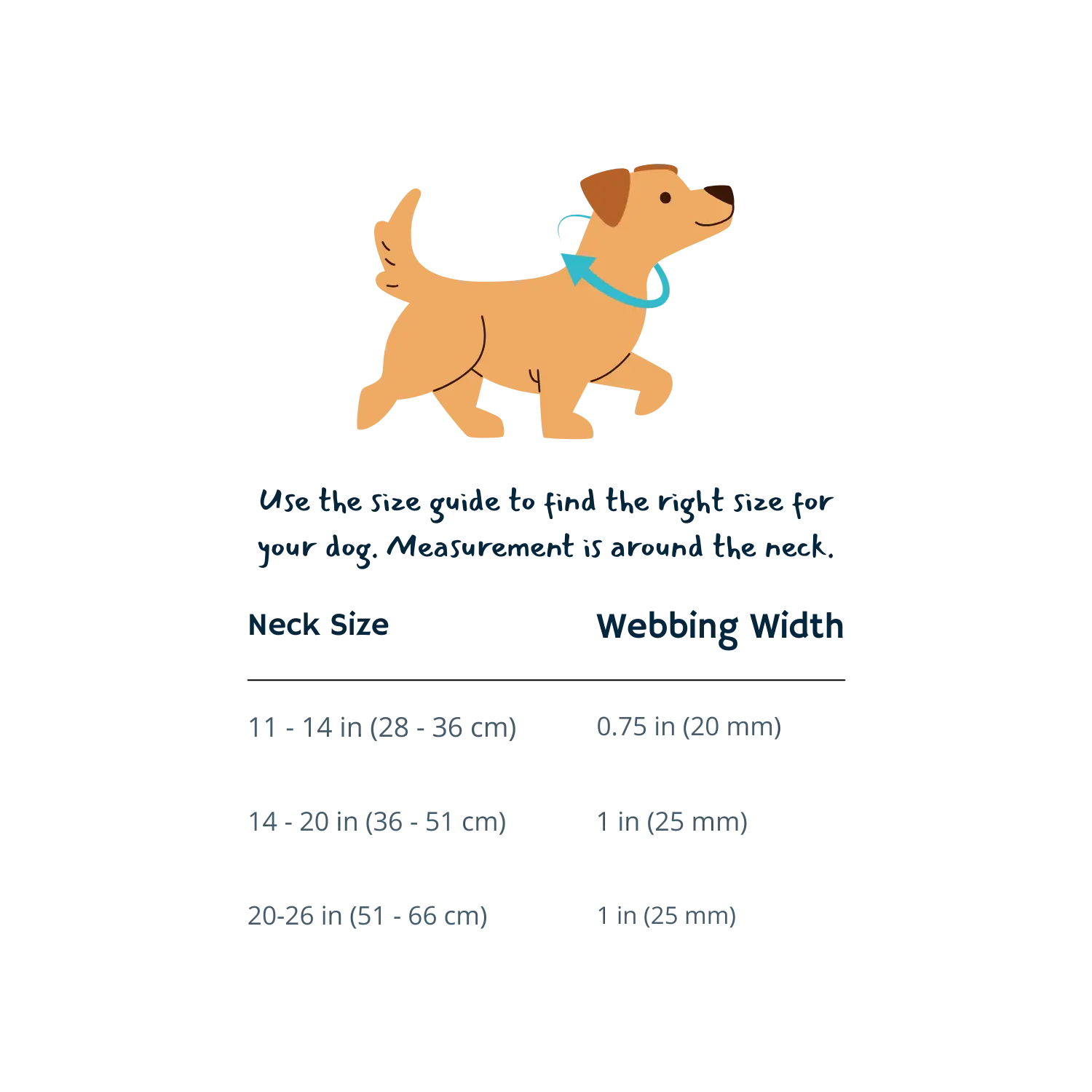 Dog collars for small dogs – adjustable fit on terrier