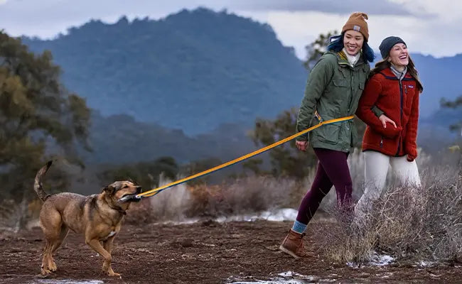Adventure-ready hands-free hiking with dog leash in rugged terrain