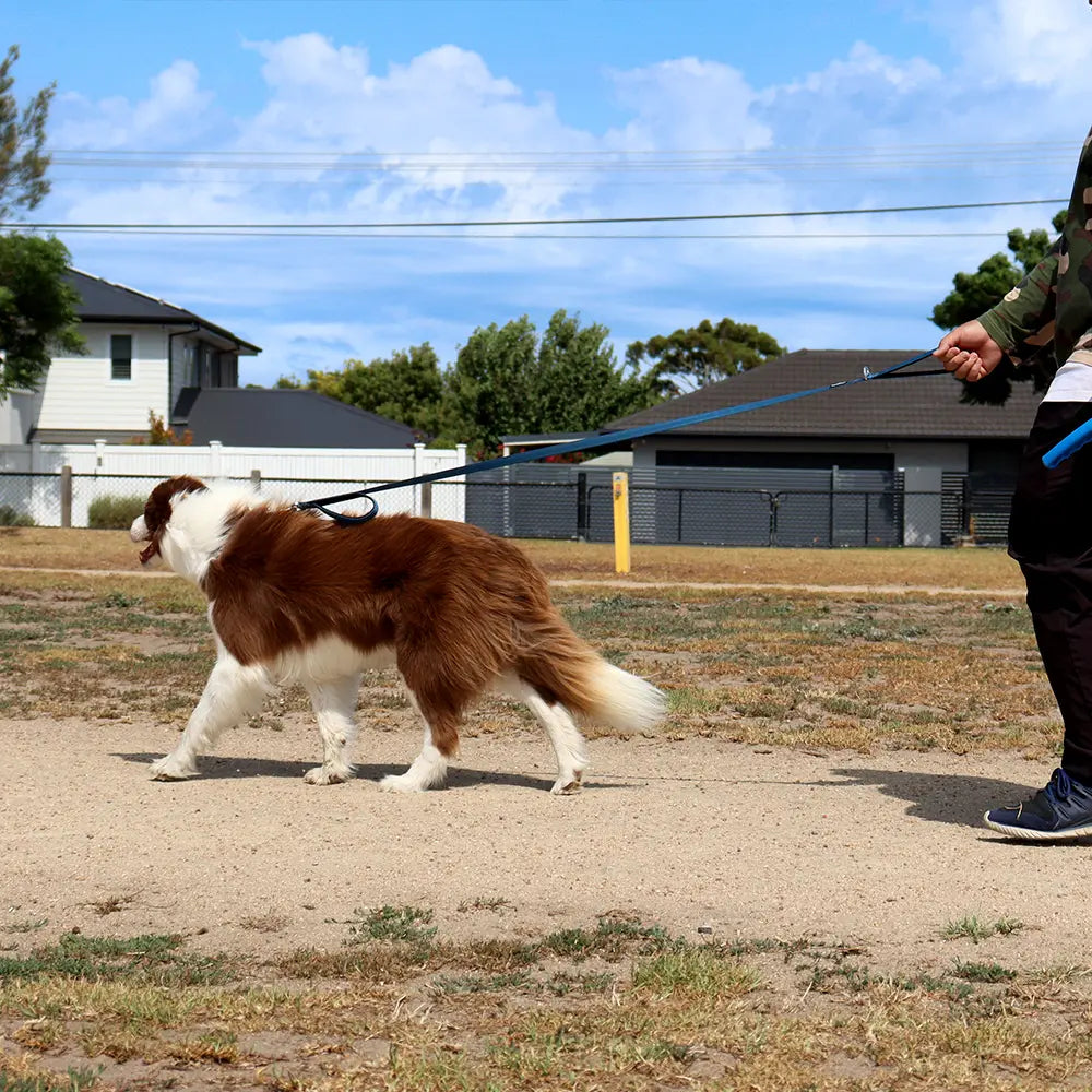 Eliteline™ Ultra Light Dog Leash