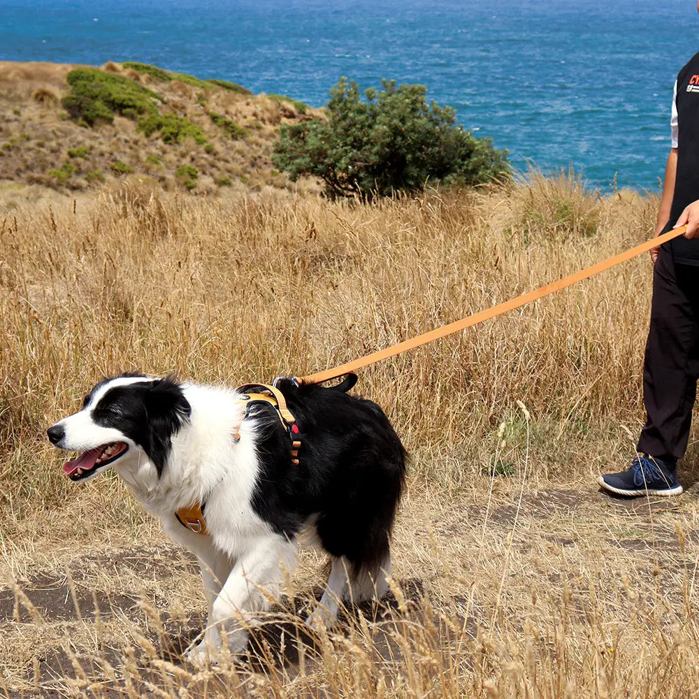 Eliteline™ Ultra Light Dog Leash