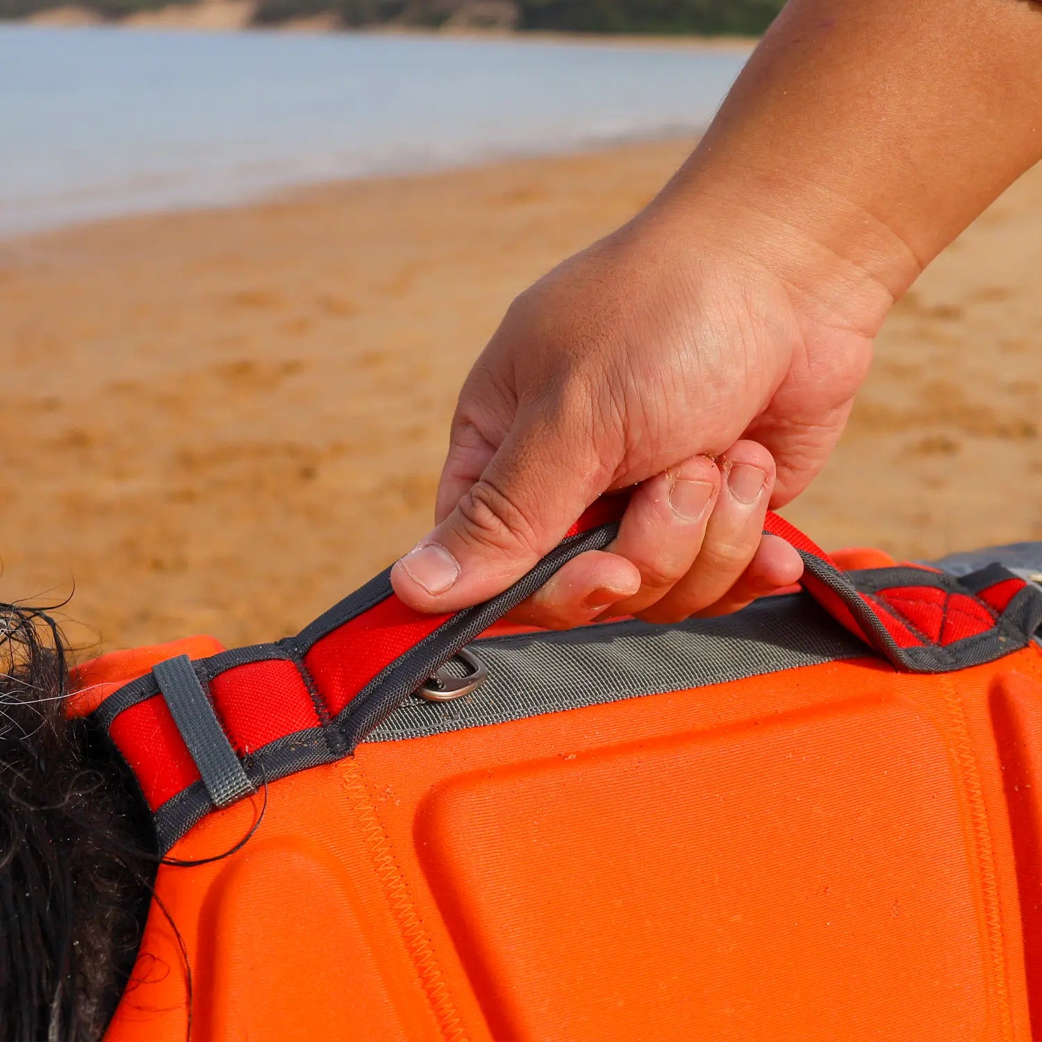 Bright yellow dog life preserver with rescue handle