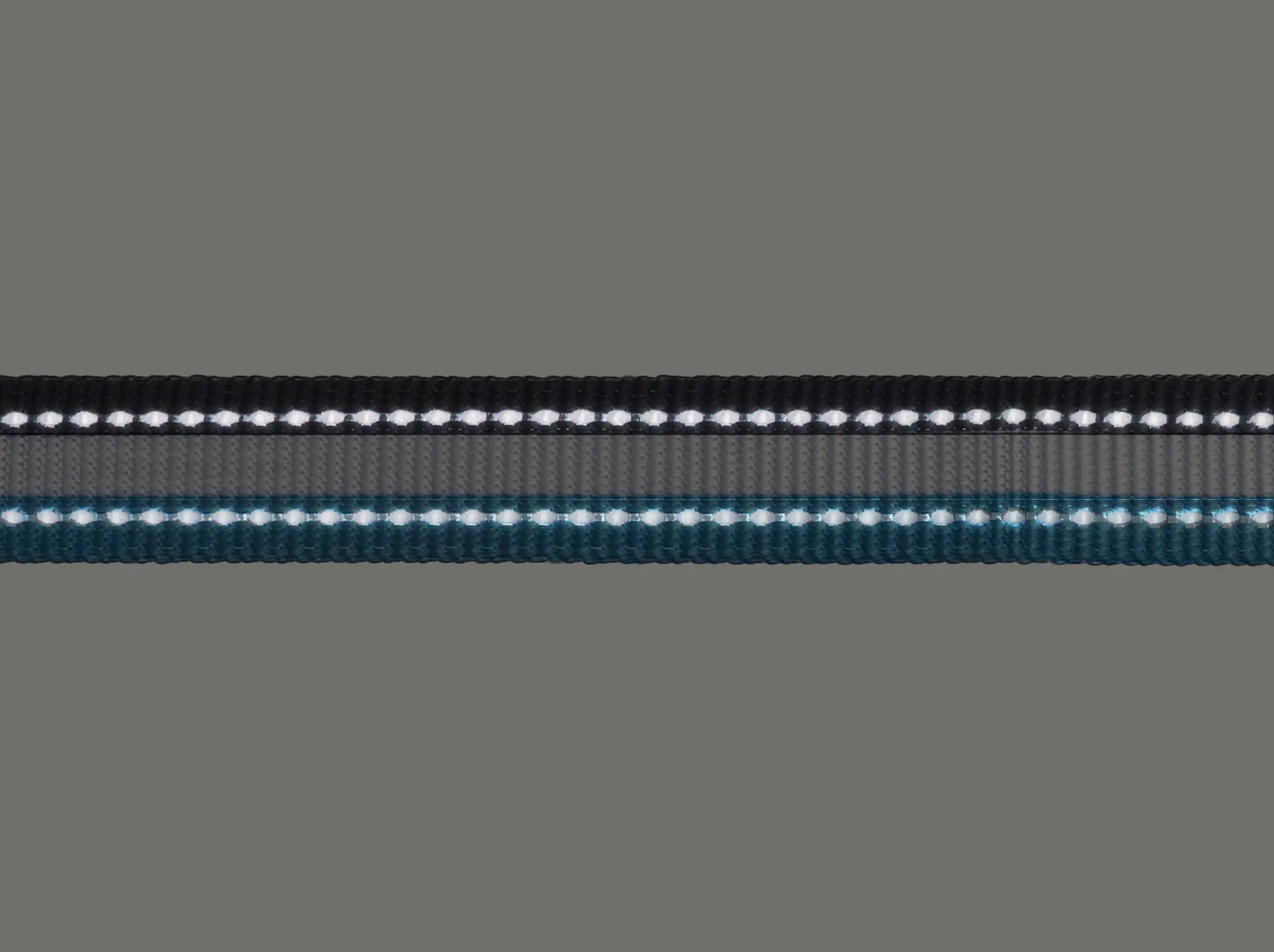 PacePro™ Dog Collar
