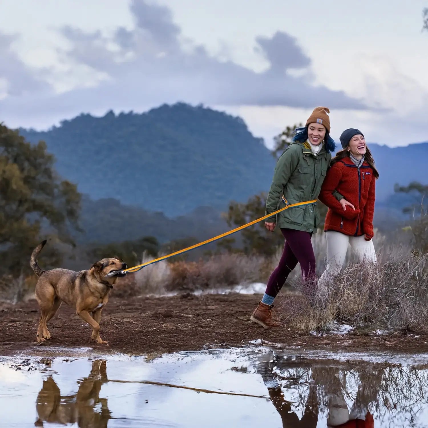 Hands-free dog leash for running with an active pup