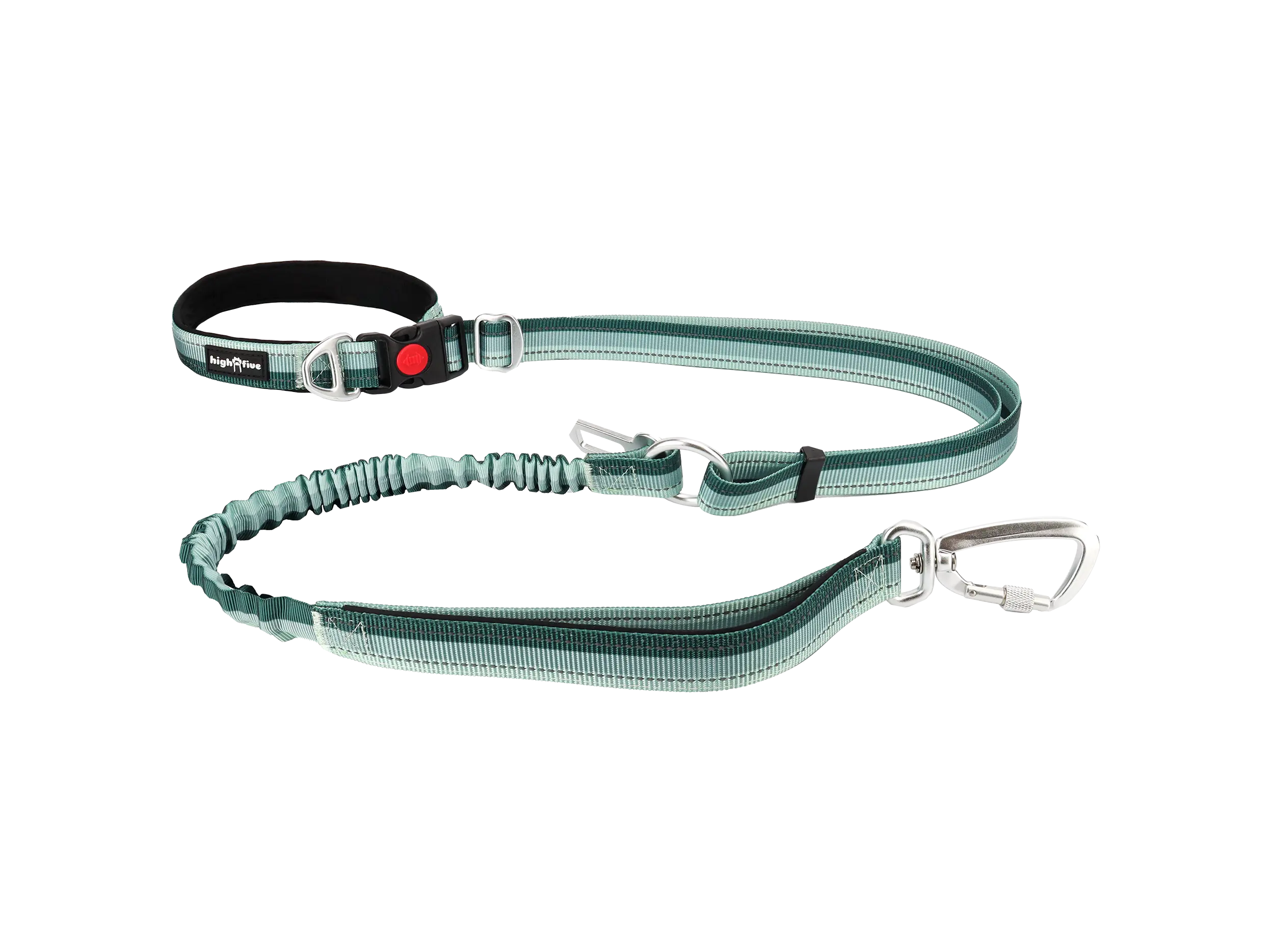 Flagline™ Bungee Hands-Free Dog Leash