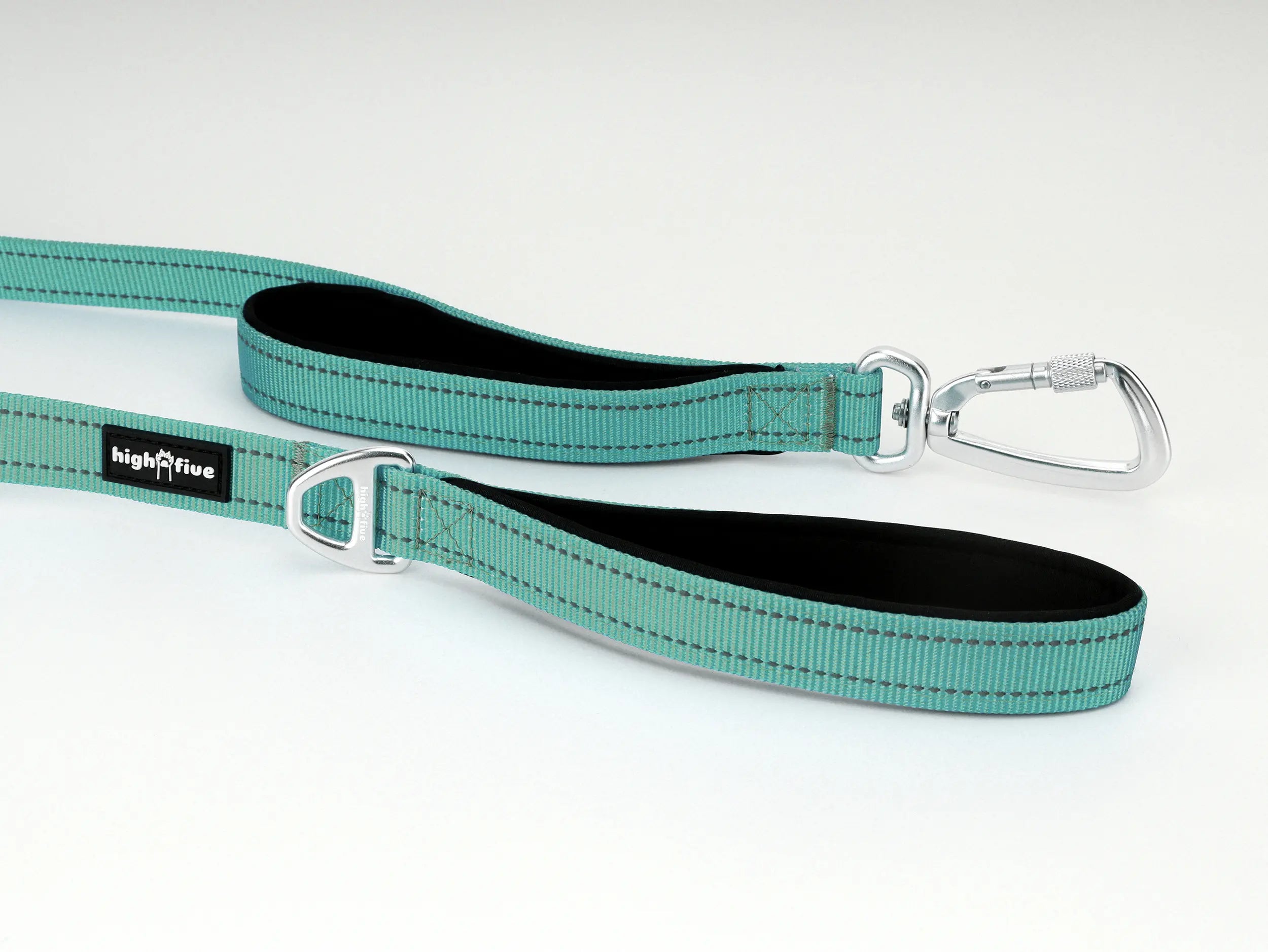 Eliteline_Ultra_Light_Dog_Leash_Seafoam_Drift_Buckle_Details