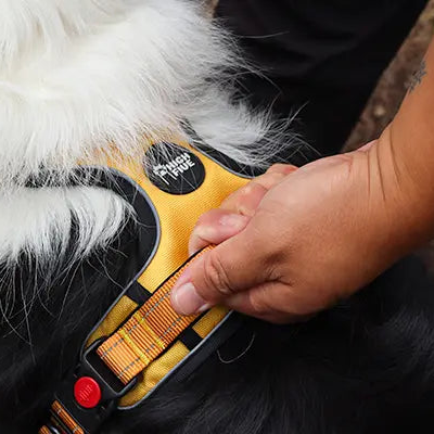 PawPlus™ Active Dog Harness