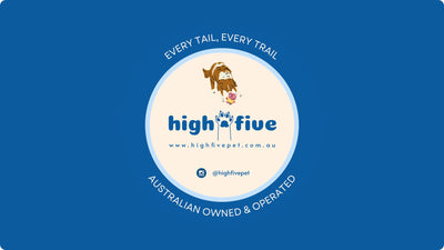 Step-by-step guide to measuring your dog for a harness using chest girth, a snug two-finger fit check, and the HighFive Pet sizing chart.